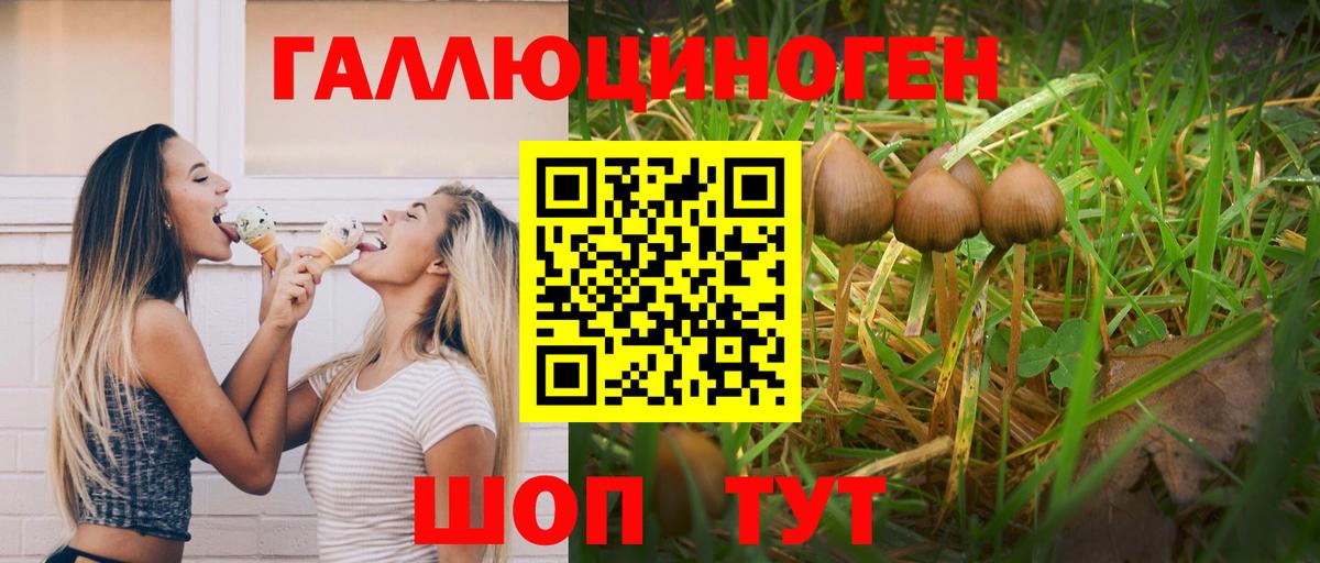Галлюциногенные грибы GOLDEN TEACHER  Галлюциногенные грибы GOLDEN TEACHER  где продают   Вход с VPN  Сергиев Посад 